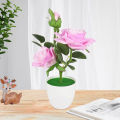 1 Set  Potted Plant Cut Evenly Clear Texture Plastic Table Decor  Rose Flower for Party. 