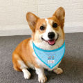 Pet Saliva Bib Lint Free Small Dog Cat Saliva Scarf Bib Pet Collar Decoration. 