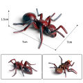 New Realitic Ant Growth Cycle Figurine et Kid imulated Animal Educational Toy. 