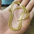 Golden snake chain / gold choker / High quality Flat snake chain / gold necklace / 925 Sterling Silver / gold chain. 
