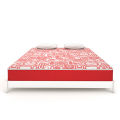 MoltyFoam 2 in 1 Mattress. 