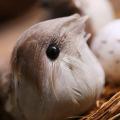Miniature Resin Cute Set of 6 Bird Nest and Eggs Set Decoration Ornaments. 