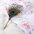 Dip Pen Calligraphy Peacock Feather Quill Writing Ink Set Stationery Gift Box With 5 Nibs. 