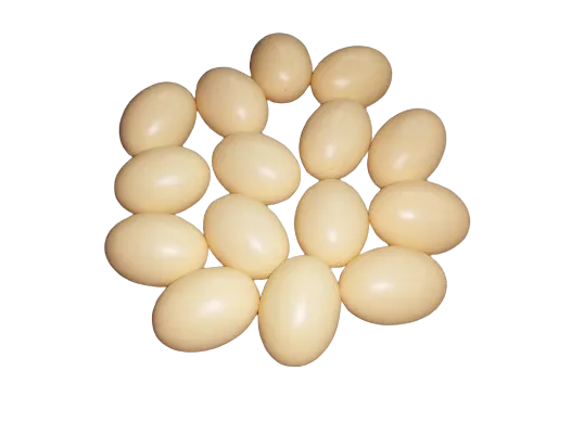 (8%20Piece)%20Artificial%20Plastic%20Eggs%20for%20Broody%20Hen%20-%20Brown%20Egg%20(Light%20Weight%20Hollow%20Egg%20Shell)%20-%20Image%204