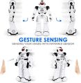 ARANEE RC Robot Toy for Kids, Intelligent Programmable Robot with Infrared Controller Toys, Dancing, Singing, Led Eyes, Gesture Sensing Robot for Kids (Black) UK IMPORT. 