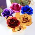Golden Rose - The 24 Karat Gold Rose. 