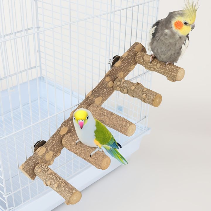 Chilli Ladder Natural Chili Wood Bird Climbing ladder with Perch - Tall climbing tree ...