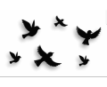 Muslim Wall Art Set Of 4 Sabr, Shukr, Dua And Tawakkul Wooden wall decor. 