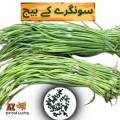 Songray Seeds Songry k beej (سونگرے کے بیج)Desi/Germinated/Best Quality/Fast growing/Excellent Germination/High Quality/Healthy Vegetable Seeds/Vegetable/Home/Kitchen/Gardening seeds/beej/Vegetables Seeds Packet. 