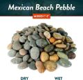 Sea/Beach Pebbles | 5 kg of Smooth Polished Stones | Hand-Picked, Premium Pebbles for Garden and Landscape Design | Mixed, 3 Inch - 5 Inch I 5kg - bulk bag. 