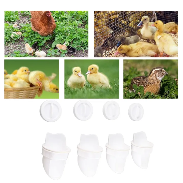 4%20Sets%20DIY%20Chicken%20Feeder%20Rain%20Proof%20Poultry%20Feeder%20Port%20Gravity%20AutomaticPoultry%20Feed%20Kit%20for%20Buckets%20Barrels%20Bins%20Troughs%20-%20Image%205