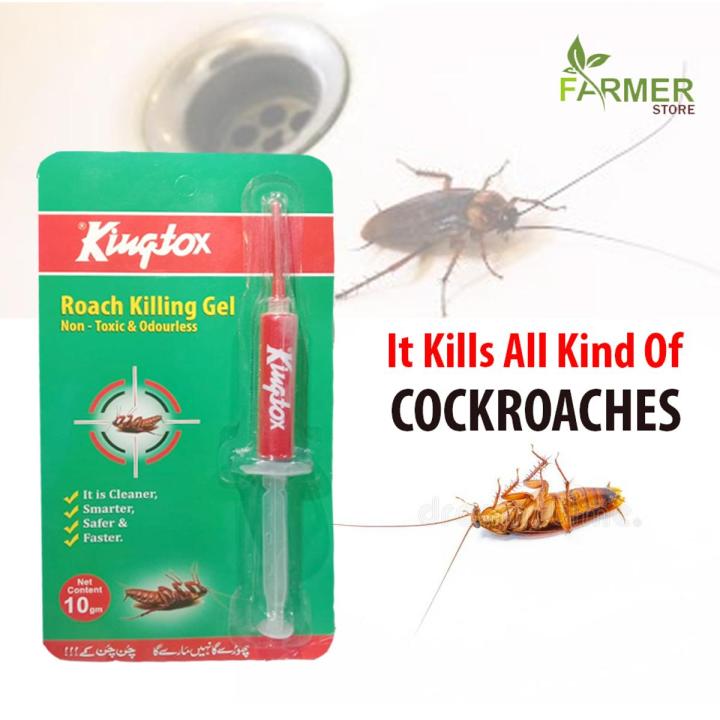 KINGTOX Roach Killing Gel King Gel Injection - Cockroach Killer Gel Insect Killer Insect Gel Pest Control Non Toxic and odorless - 10gm