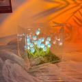 Transparent Packaging Tulip Night Light Compact Size Versatile Decor Handcrafted Handmade LED Light DIY Kit LED-illuminated Flower Knows Box for Living Room  Creative Gift Home Atmosphere Night-. 