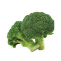 Broccoli F1 Hybrid Seeds SAKATA (30 Plus seeds). 