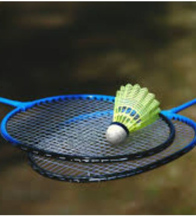 2-Player Carbon Graphite Badminton Set, Full Carbon Fiber Badminton ...