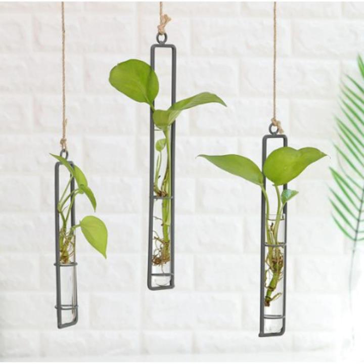 3pcs Decoration Flower Wall Vase Flower Glass Tube Vases Glass Container Wall Hanging Air Plant Flower Bottle Vase