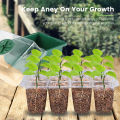 Trays Set Seedling Starter Cells Germination  Pots Grow Box 4x 12 Cell. 