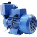 PIONEER HKS-60 - Electric Vaccum Water Pump - 0.5HP. 