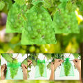 20PCS Grape Fruit Protection Bags Garden Drawstring Netting Mesh Bags Anti-Bird For Plant Fruit Trees Organza Bags. 