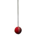 Cricket Hanging Hard Ball with Rope for Bat Stroke Knocking Batting Practice and Middling Cricket Batting Drives by easily  alls for Kids Personal and Professional Practicing Use | Pack of 1 Hanging Cricket Ball | String Cricket Balls | Hand Eye Coordinat. 