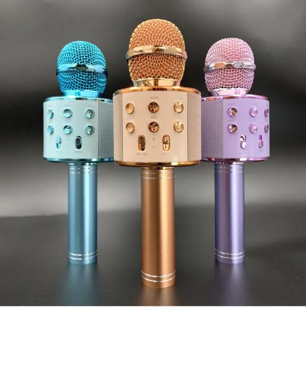 Best%20Microphone%20WS%20858%20for%20clear%20speaking%20professional%20karaoke%20speaker%20Wireless%20Bluetooth%20Hifi%20Speaker%20plus%20an%20original%20aux%20cable%20with%20mic%20-%20Image%202