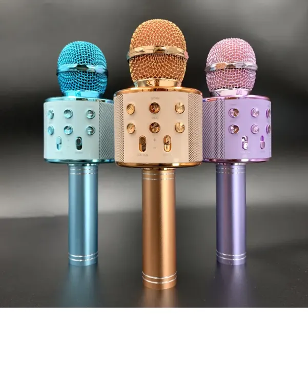 Best%20Microphone%20WS%20858%20for%20clear%20speaking%20professional%20karaoke%20speaker%20Wireless%20Bluetooth%20Hifi%20Speaker%20plus%20an%20original%20aux%20cable%20with%20mic%20-%20Image%202