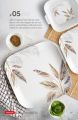 Sireina-05 Melamine Dinner Set including stainless steel Flatware,  80Pcs DG. 