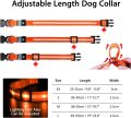 MASBRILL Led Dog Collar-Light Up Dog Collars Water-Resistant Lighted Dog Collar for Dogs (L(23.62 * 0.98inch), Orange). 