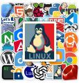 Java Stickers Programming Decals Coding Memes Software Engineer Gifts Developer Tools Pack o 30 Stickers Developer Laptop Back Mechanical Keyboards PC Cases Coding Journals Tech Conference Swag Sticker 2inchx2inch each sticker size. 