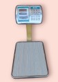60kg/5g Digital weight Machine For Vegetable,Fruit, Postal Parcel & cottons Measurement on commercial use, 60kg scale , 60kg weighing scale. shop scale, weight machine. cell battery scale. shipping scale, wazan kanta, wazan tharazo. kaanta tharaazo. wazan. 