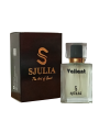 Valiant Men’s Perfume - Woody Aromatic Fragrance - SJULIA. 