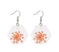 Dried flower transparent acrylic geometric resin earrings temperament personality stud earrings for gilrs for women low price. 