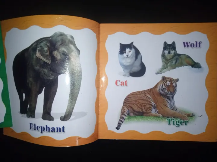 Kids%20First%20Learning%20Books%20Pack%20of%2015%20Preschool%20%20homeschooling%20and%20self%20learning%20Books%20Best%20for%20birthday%20gift%20-%20Image%208