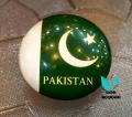 Fridge Magnets . Pakistani Monuments . set of 2 souvenirs .Handmade. 
