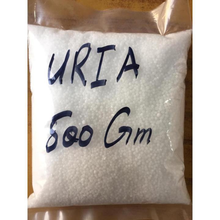 Urea 500 Gm for Plants ans Grass Fertilizer by Gardening Hope