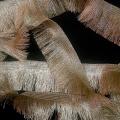 Fringe Lace ( Kiran) -  Light Golden - 8 Yard Pack - KL01. 