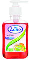 Handwash , Anti-Bacterial Liquid ,Liquid hand wash 500ml. 