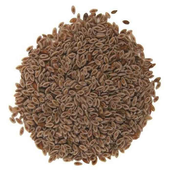 Husnain DawaKhana,Ispaghol Sabit 100Gram