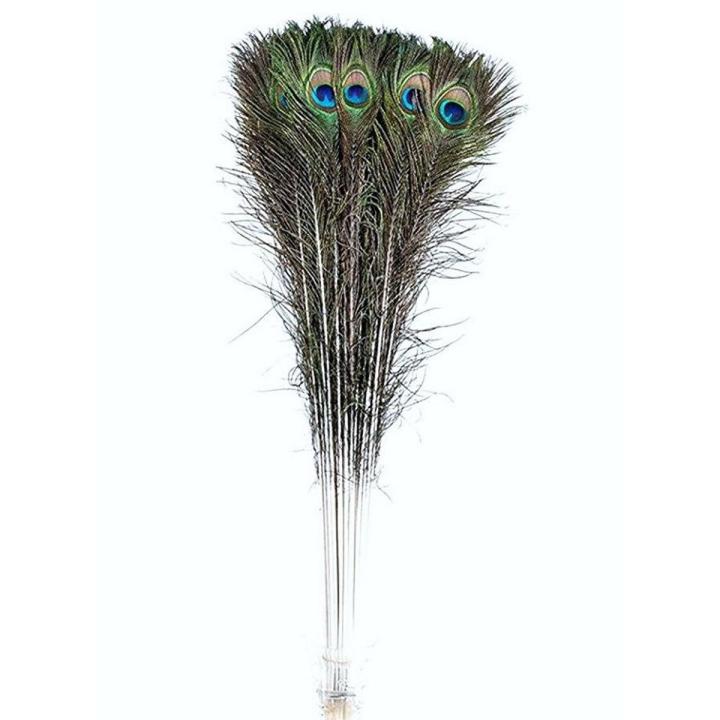 20Pcs Peacock Feather Tail Eye 70Cm-80Cm Height (Natural Original Real)