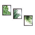 8x10 Minimalist Frame 3 Tropical Leaf Theme Set Photo Wall Decoration Photo Frame Wall Hanging Home Decoration Picture Gallery for Living Room Bedroom Study Room. 