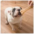 Dogs - Calcium Chewing - Bone. 