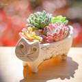 Cat Planter Pot Home Decor Cute Table Ornaments Head Planter. 