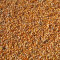 PREMIUM QUALITY POP CORN KERNALS , POP CORN , POPCORN SEEDS , MAKAI DANA 1KG. 