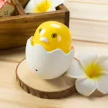 Egg Night Light, Cartoon Chick Night Light Mini Light Control LED Nursery Night Lamp for Kids. 