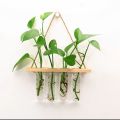 Glass Hanging Planter Terrarium – Hydroponic Test Tube Vase with Wooden Hanger & Rope for Green Plants, Flowers, Home & Office Décor By Padini Collection. 