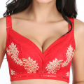 Double Foam Fancy Bra - Padded Bras for girls and women. 