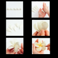 Best Quality Air Dry Clay Colorless Creobiz Clay for Clay Art, Jewellery Making, Modelling & Sculpting, No Baking Better than Polymer Clay | Best for Modeling, Jewelry, Art & Craft. 