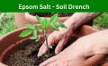 Epsom Salt 5 kg for Plant Growth & Development | Contains Magnesium Sulfate Water Soluble Plant Fertilizer | Prevents yellowing of leaves | Promotes bountiful blooms | tasty fruits and plant. 