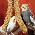 Yellow Millets Spray 250gm for all types of birds TREATES ( Cage Life Care ). 