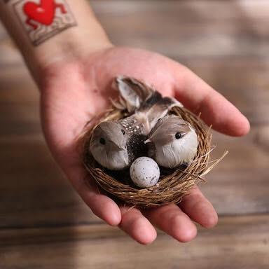 Miniature Resin Cute Set of 6 Bird Nest and Eggs Set Decoration Ornaments